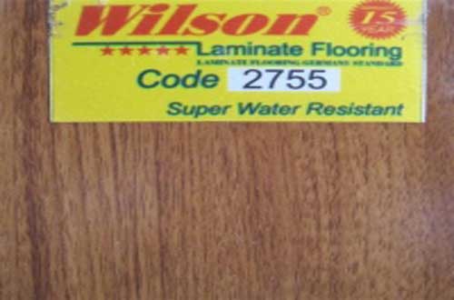 Sàn gỗ Wilson-2755