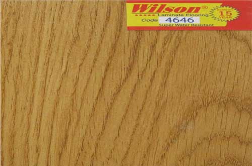 Wilson-4646